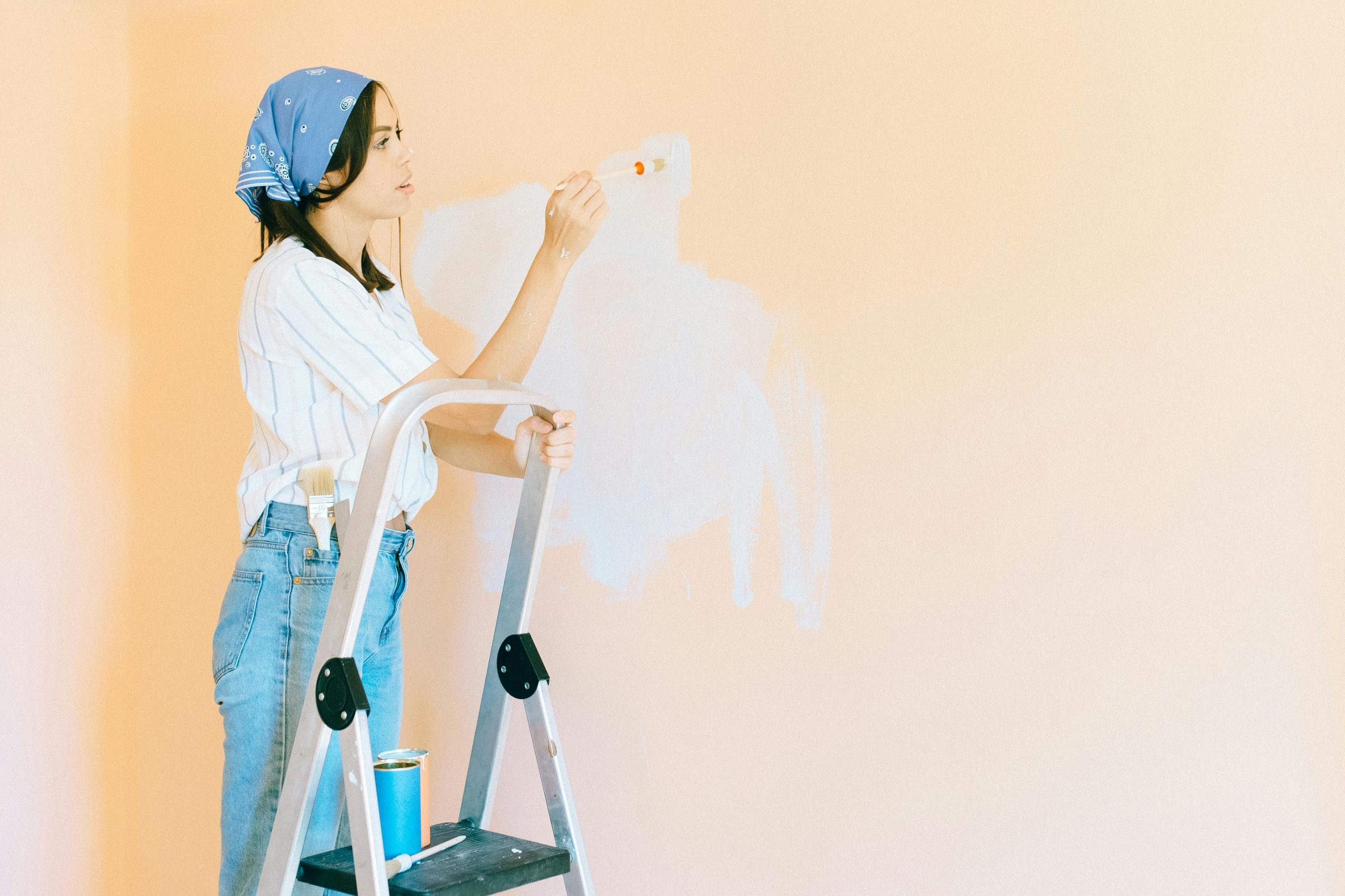 Professional Wall Painting Services
